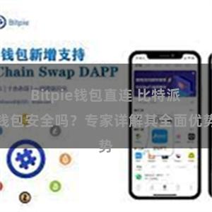 Bitpie钱包直连 比特派钱包安全吗？专家详解其全面优势