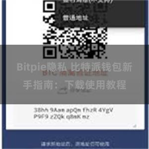 Bitpie隐私 比特派钱包新手指南：下载使用教程