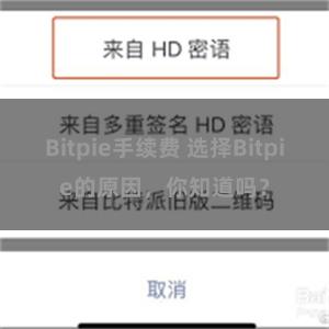 Bitpie手续费 选择Bitpie的原因，你知道吗？