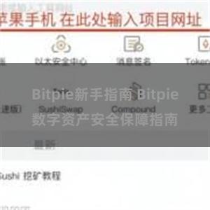 Bitpie新手指南 Bitpie数字资产安全保障指南