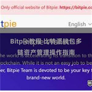 Bitpie教程 比特派钱包多链资产管理操作指南