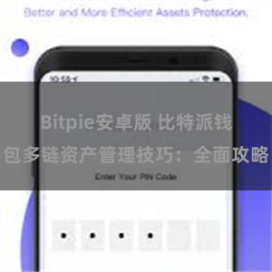 Bitpie安卓版 比特派钱包多链资产管理技巧：全面攻略