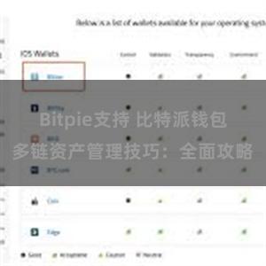 Bitpie支持 比特派钱包多链资产管理技巧：全面攻略