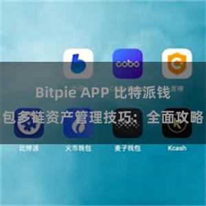 Bitpie APP 比特派钱包多链资产管理技巧：全面攻略