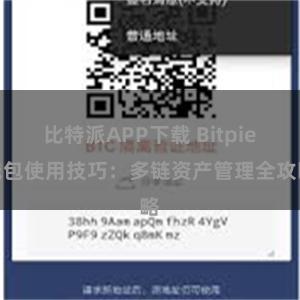 比特派APP下载 Bitpie钱包使用技巧：多链资产管理全攻略