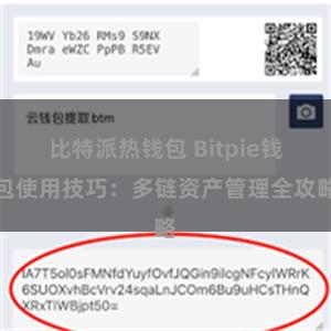 比特派热钱包 Bitpie钱包使用技巧：多链资产管理全攻略