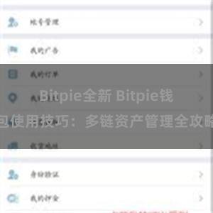 Bitpie全新 Bitpie钱包使用技巧：多链资产管理全攻略