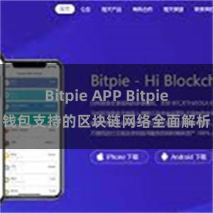 Bitpie APP Bitpie钱包支持的区块链网络全面解析