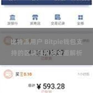 比特派用户 Bitpie钱包支持的区块链网络全面解析