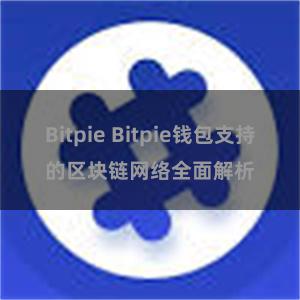 Bitpie Bitpie钱包支持的区块链网络全面解析