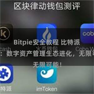 Bitpie安全教程 比特派钱包：数字资产管理生态进化，无限可能！