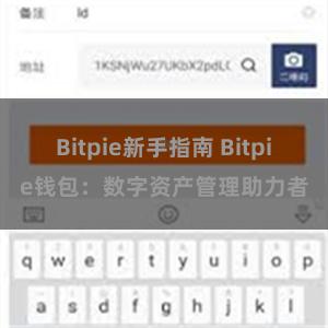 Bitpie新手指南 Bitpie钱包：数字资产管理助力者