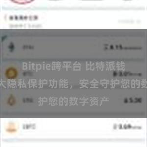 Bitpie跨平台 比特派钱包：强大隐私保护功能，安全守护您的数字资产