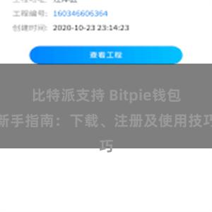 比特派支持 Bitpie钱包新手指南：下载、注册及使用技巧