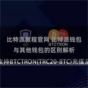 比特派教程官网 比特派钱包与其他钱包的区别解析