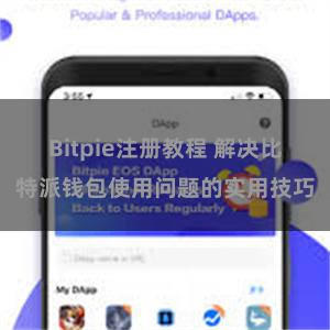 Bitpie注册教程 解决比特派钱包使用问题的实用技巧