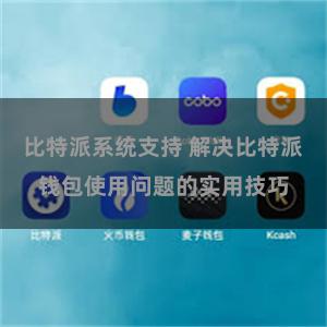 比特派系统支持 解决比特派钱包使用问题的实用技巧