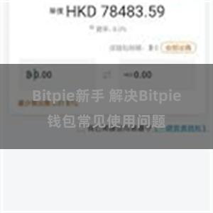 Bitpie新手 解决Bitpie钱包常见使用问题