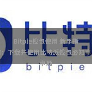 Bitpie钱包使用 新手指南：下载并使用比特派钱包必知事项