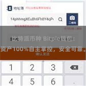 比特派币种 Bitpie钱包：资产100%自主掌控，安全可靠。