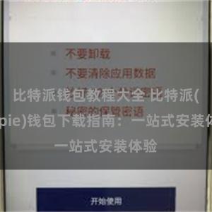 比特派钱包教程大全 比特派(Bitpie)钱包下载指南：一站式安装体验