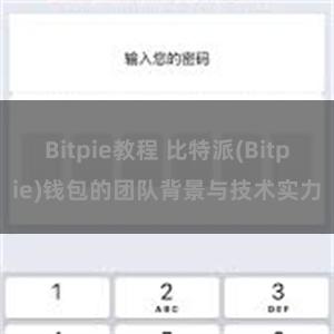 Bitpie教程 比特派(Bitpie)钱包的团队背景与技术实力