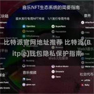 比特派官网地址推荐 比特派(Bitpie)钱包隐私保护指南