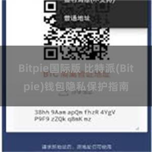 Bitpie国际版 比特派(Bitpie)钱包隐私保护指南