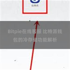 Bitpie在线客服 比特派钱包的冷存储功能解析