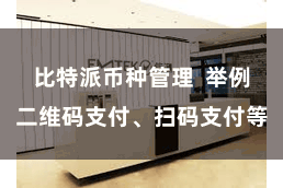 比特派币种管理  举例二维码支付、扫码支付等