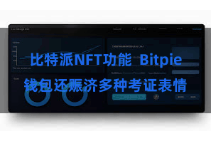 比特派NFT功能  Bitpie钱包还赈济多种考证表情