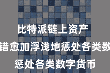 比特派链上资产  用户不错愈加浮浅地惩处各类数字货币