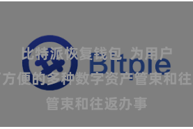 比特派恢复钱包  为用户提供了方便的多种数字资产管束和往返办事