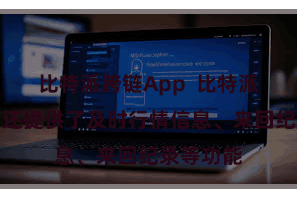 比特派跨链App  比特派钱包平台还提供了及时行情信息、来回纪录等功能